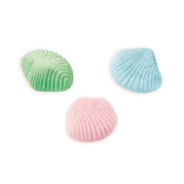 102410-vid-10-doyp-shells-conchas-foam-unidades