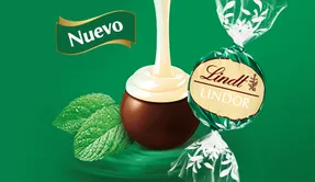 126127-lindt-lindor-negro-menta-2kg